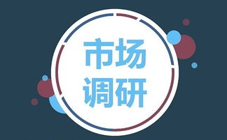 房地产市场调研 概念与方法探究
