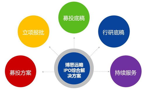募投项目可行性研究与细分市场行业调查的详细内容解析